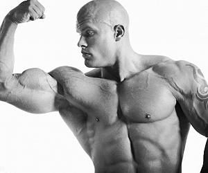 gli steroidi sono proteine ti aiuta a realizzare i tuoi sogni